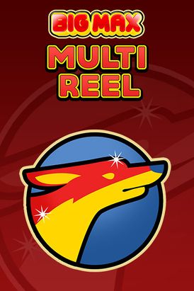 Big Max Multi Reel